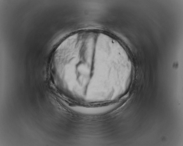 X0000092261407200710121330