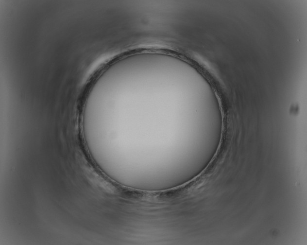 X0000092261408200710121330