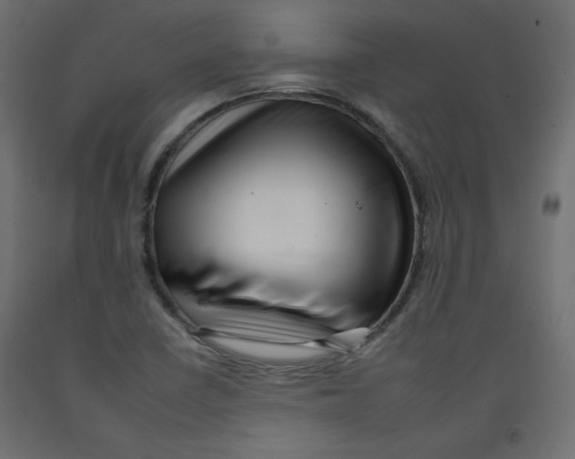 X0000092261410200710121330