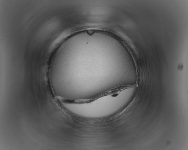 X0000092261411200710121330