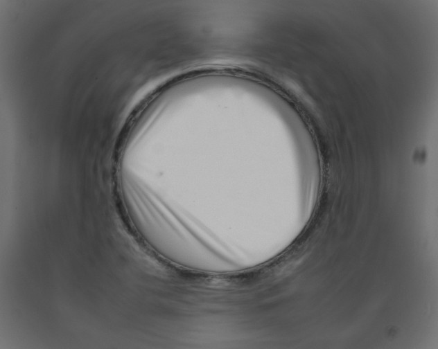 X0000092261412200710121330