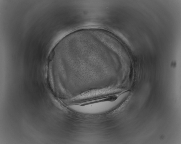 X0000092261413200710121330