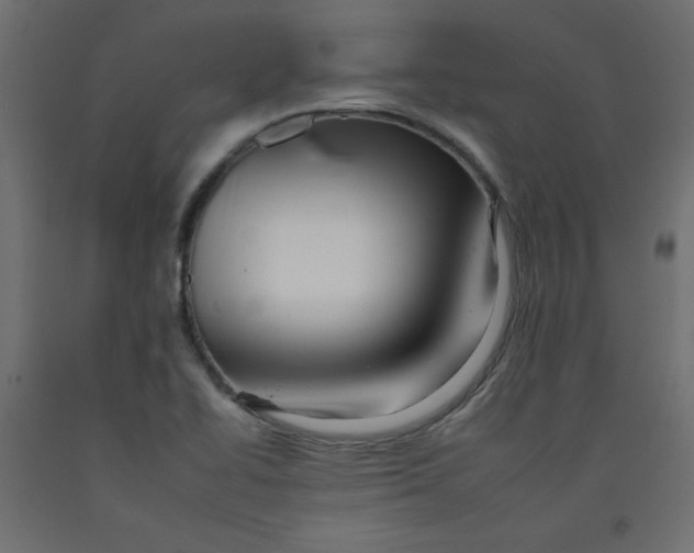 X0000092261414200710121330