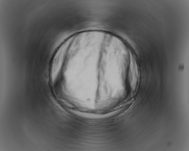 X0000092261415200710121330