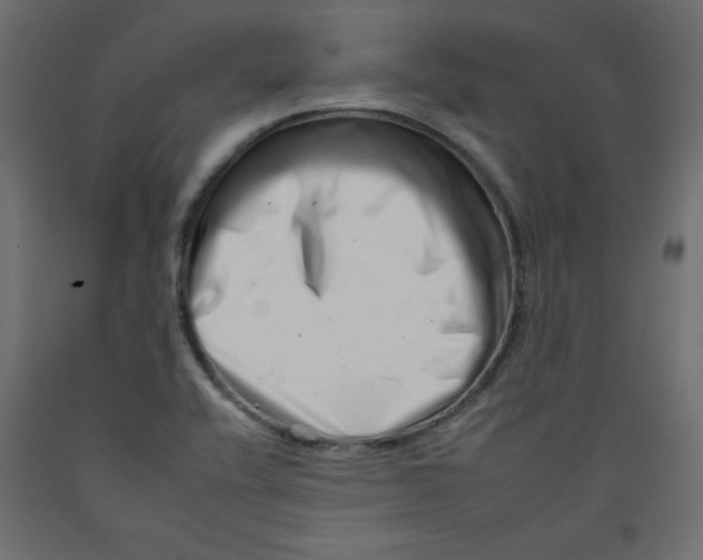 X0000092261416200710121330