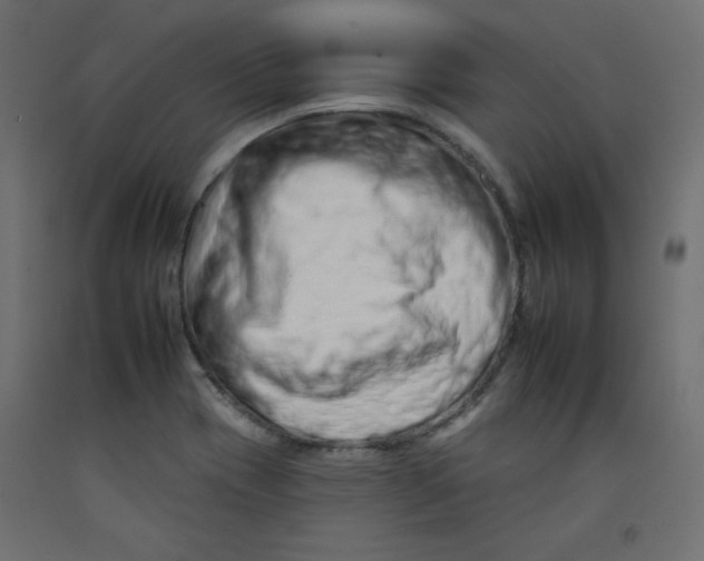 X0000092261417200710121330