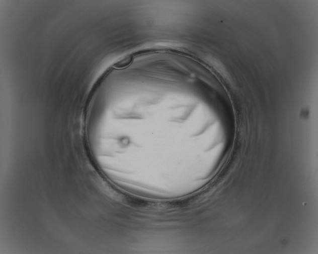 X0000092261420200710121330