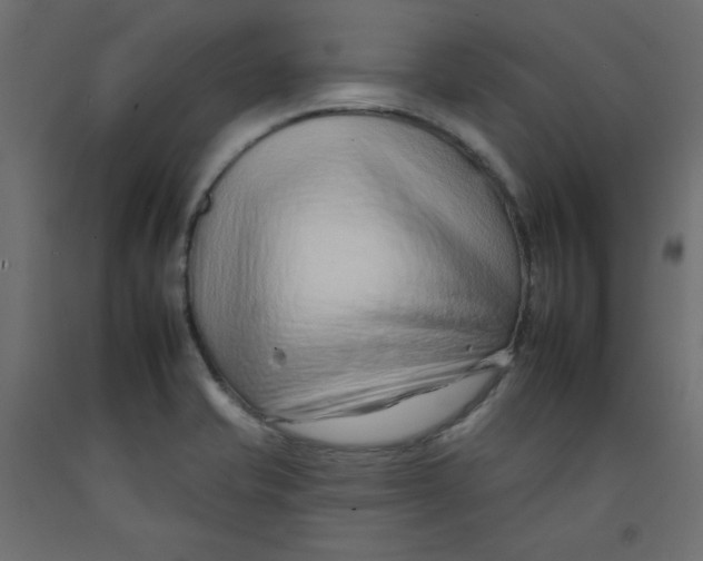 X0000092261421200710121330