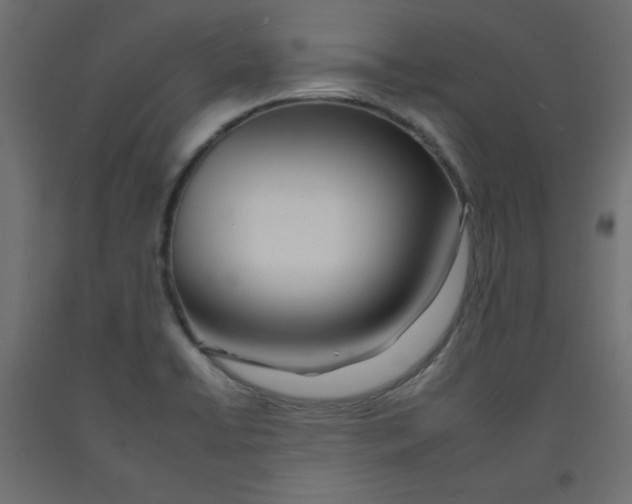 X0000092261422200710121330