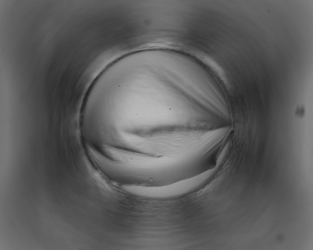 X0000092261423200710121330