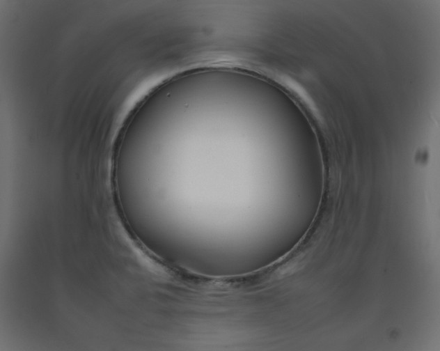 X0000092261424200710121330