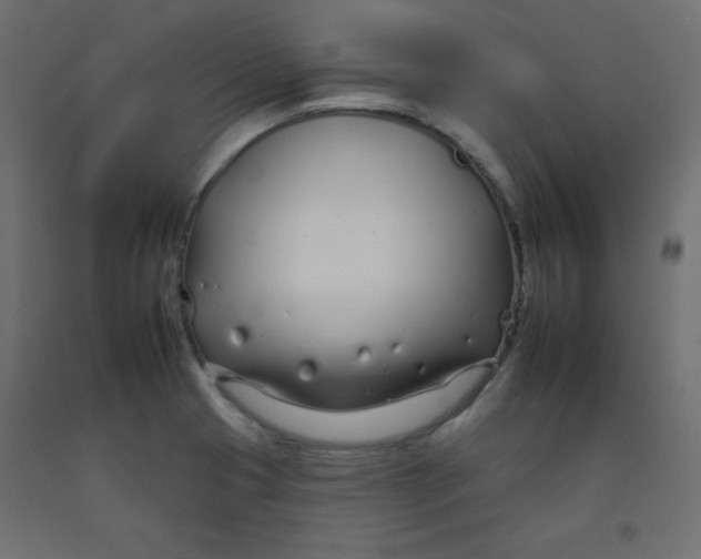 X0000092261425200710121330