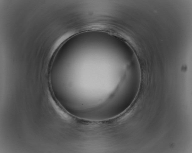 X0000092261426200710121330