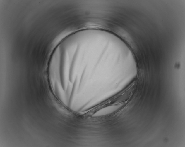 X0000092261427200710121330