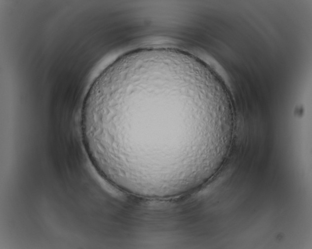 X0000092261429200710121330