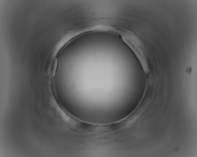 X0000092261430200710121330