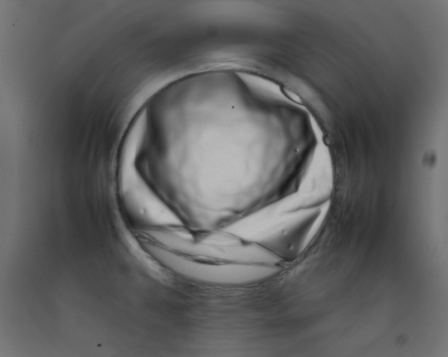 X0000092261431200710121330