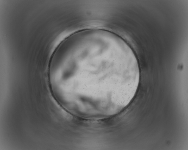 X0000092261432200710121330