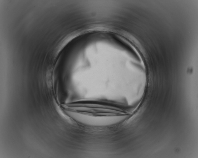 X0000092261433200710121330