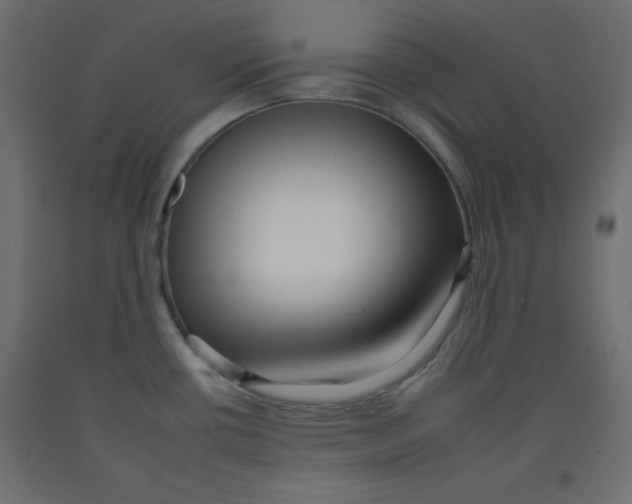 X0000092261434200710121330