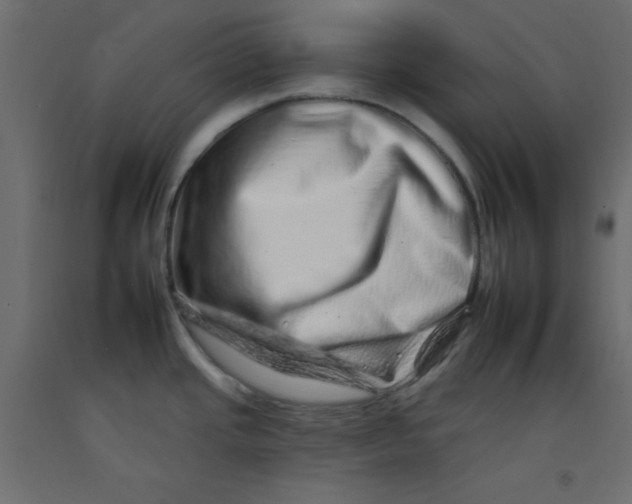 X0000092261437200710121330