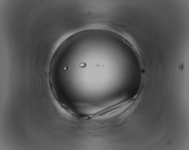 X0000092261438200710121330