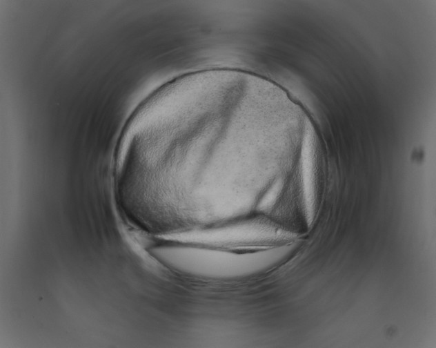 X0000092261439200710121330