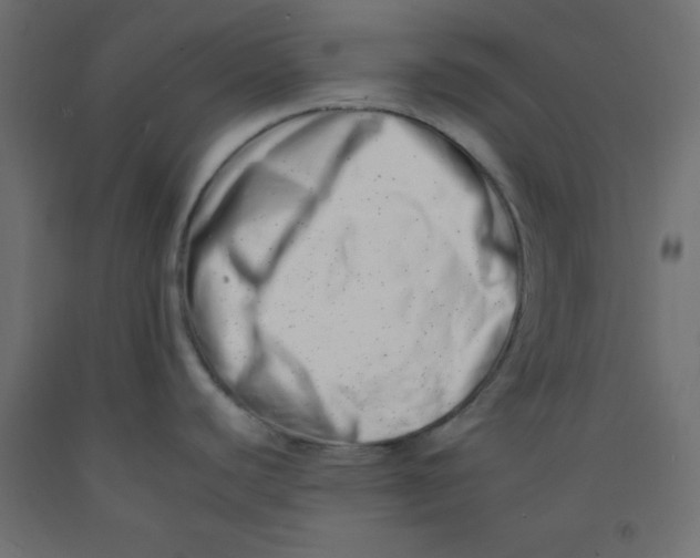 X0000092261440200710121330