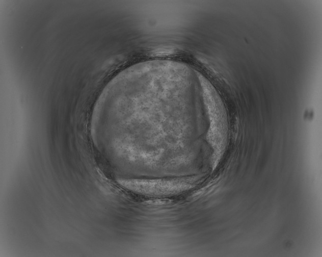 X0000092261441200710121329