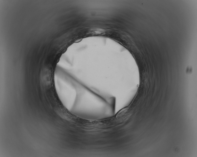 X0000092261442200710121329