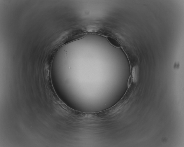 X0000092261443200710121329