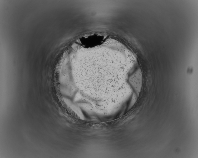 X0000092261445200710121329