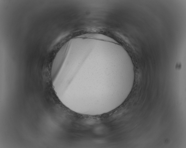 X0000092261446200710121329