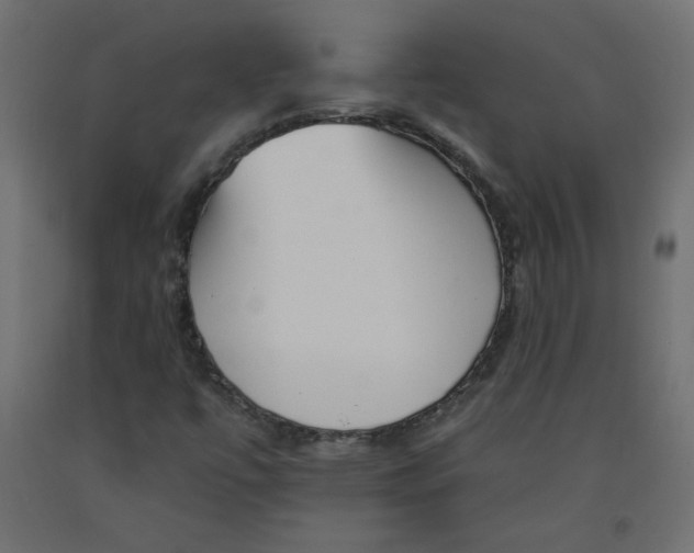 X0000092261447200710121329