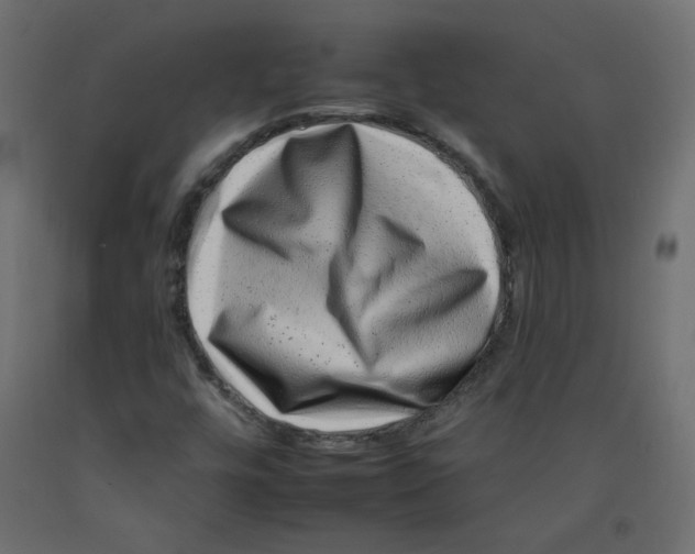 X0000092261448200710121329