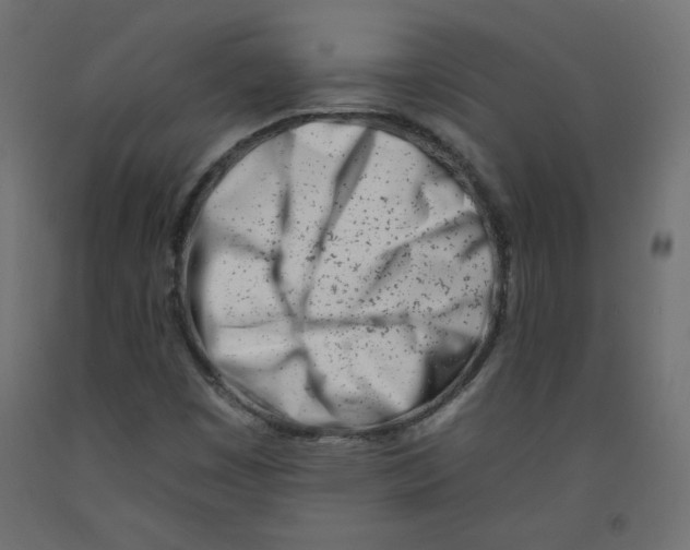 X0000092261449200710121329