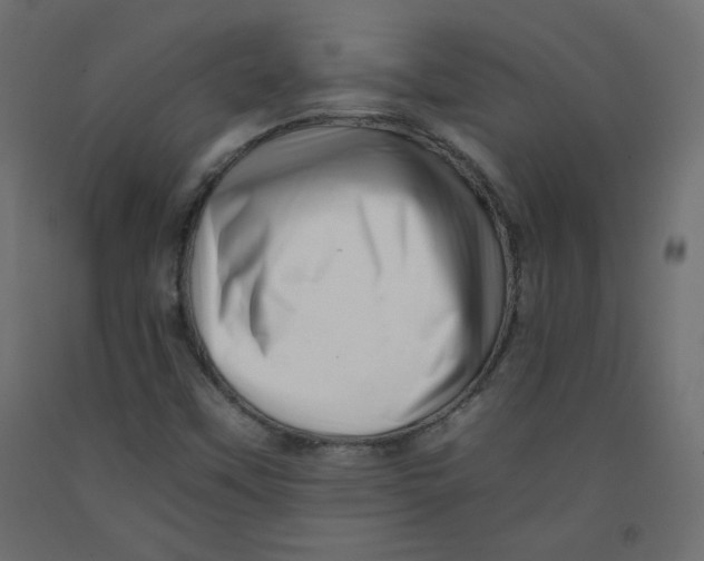 X0000092261451200710121329