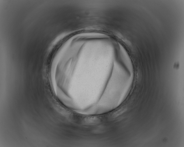 X0000092261454200710121329