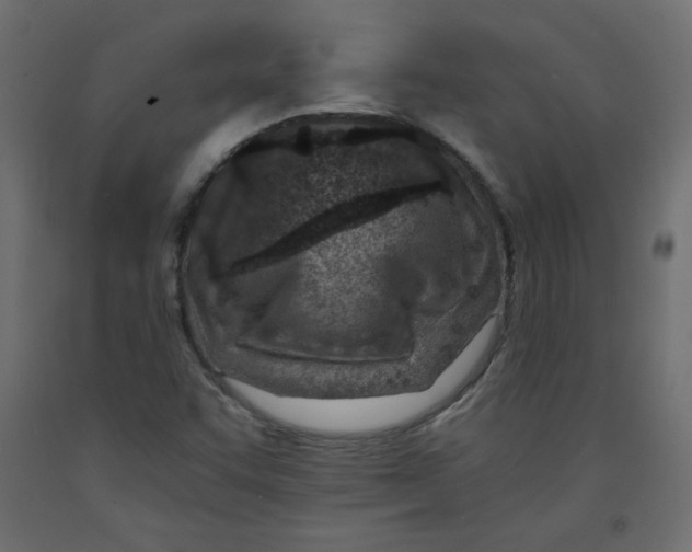 X0000092261455200710121329