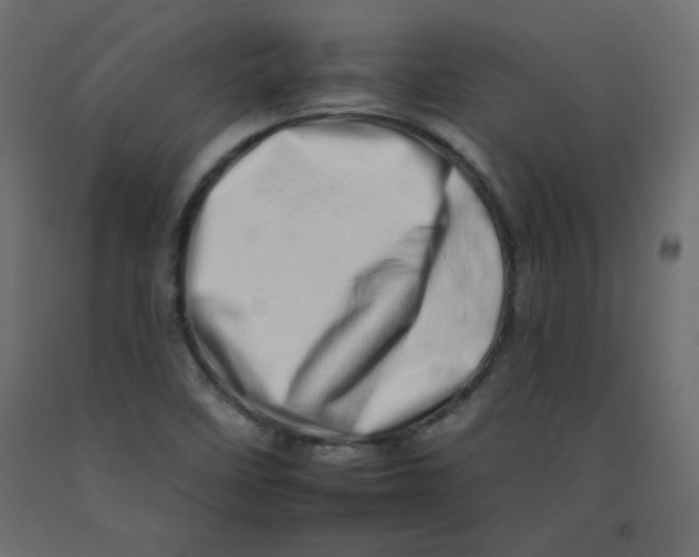 X0000092261458200710121329