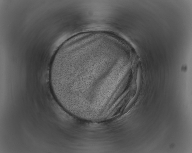 X0000092261459200710121329