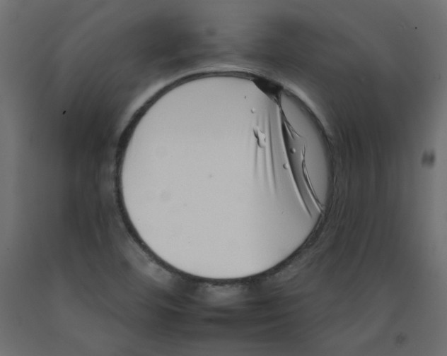 X0000092261460200710121329