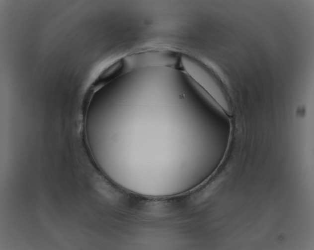 X0000092261461200710121329