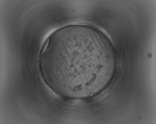 X0000092261463200710121329