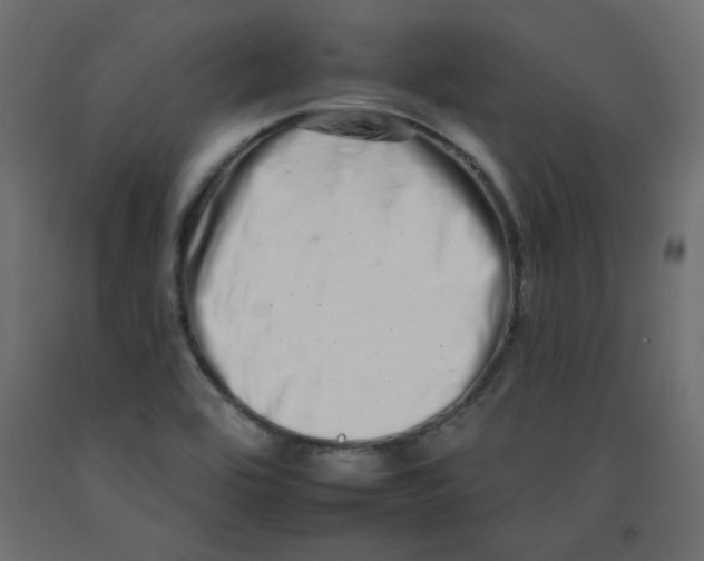 X0000092261464200710121329