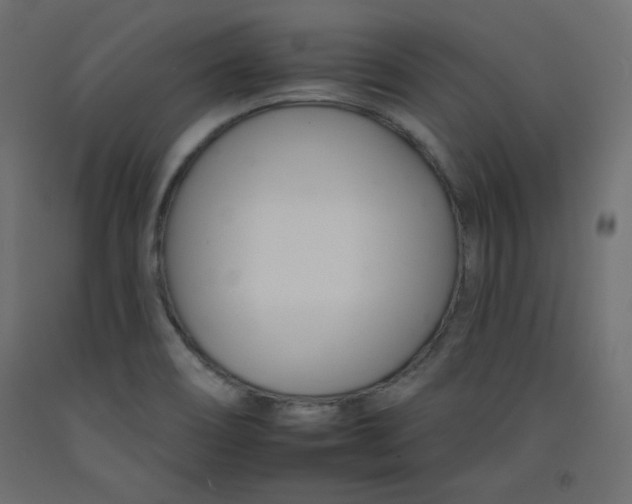 X0000092261466200710121329