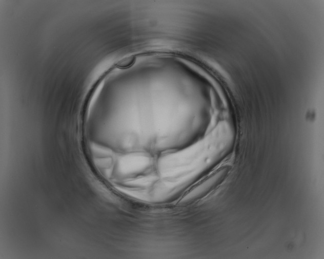 X0000092261467200710121329