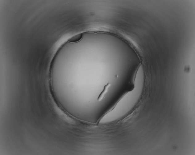 X0000092261471200710121329