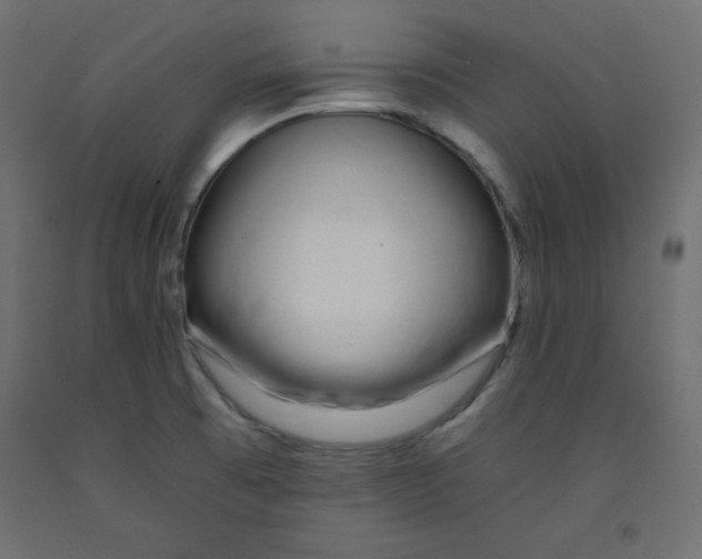 X0000092261473200710121329