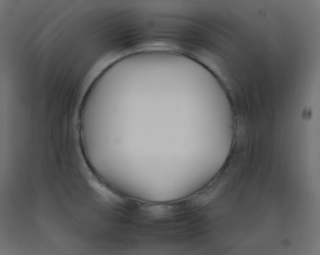 X0000092261474200710121329